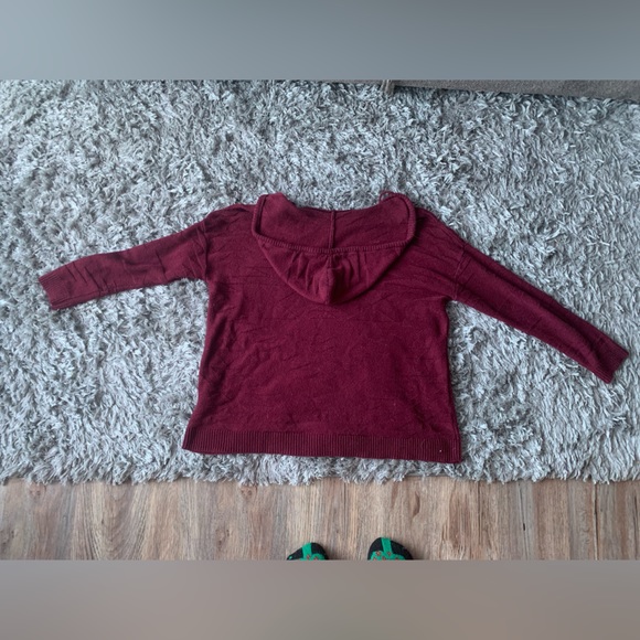 AE  Hooded Sweater - Picture 2 of 4